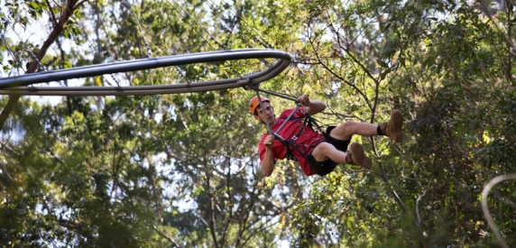 EcoZip &#8211; ekologiczny rollercoaster pomiędzy drzewami