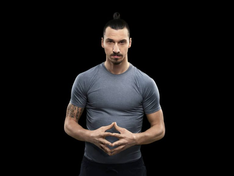 Bethard i Ibrahimović w Danii