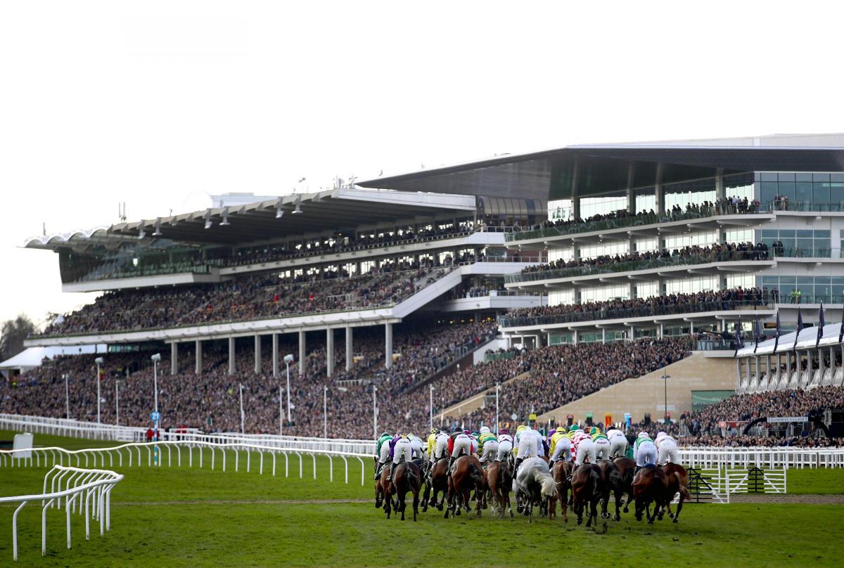 Flutter potwierdza ogromne zainteresowanie zakładami podczas Cheltenham Festival