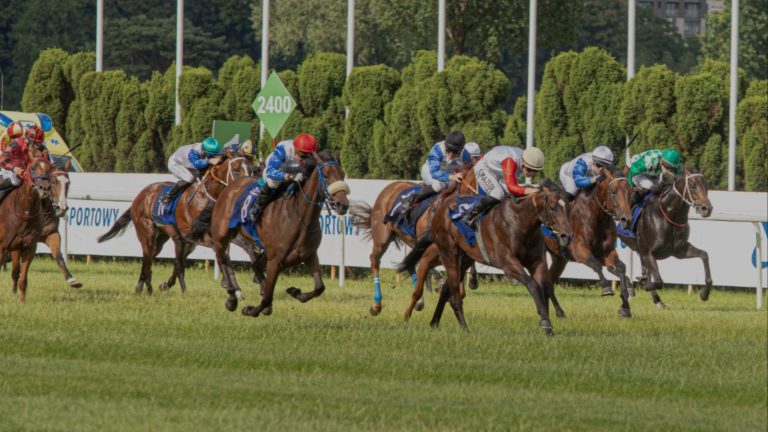 W niedzielę odbędzie się Gala Derby