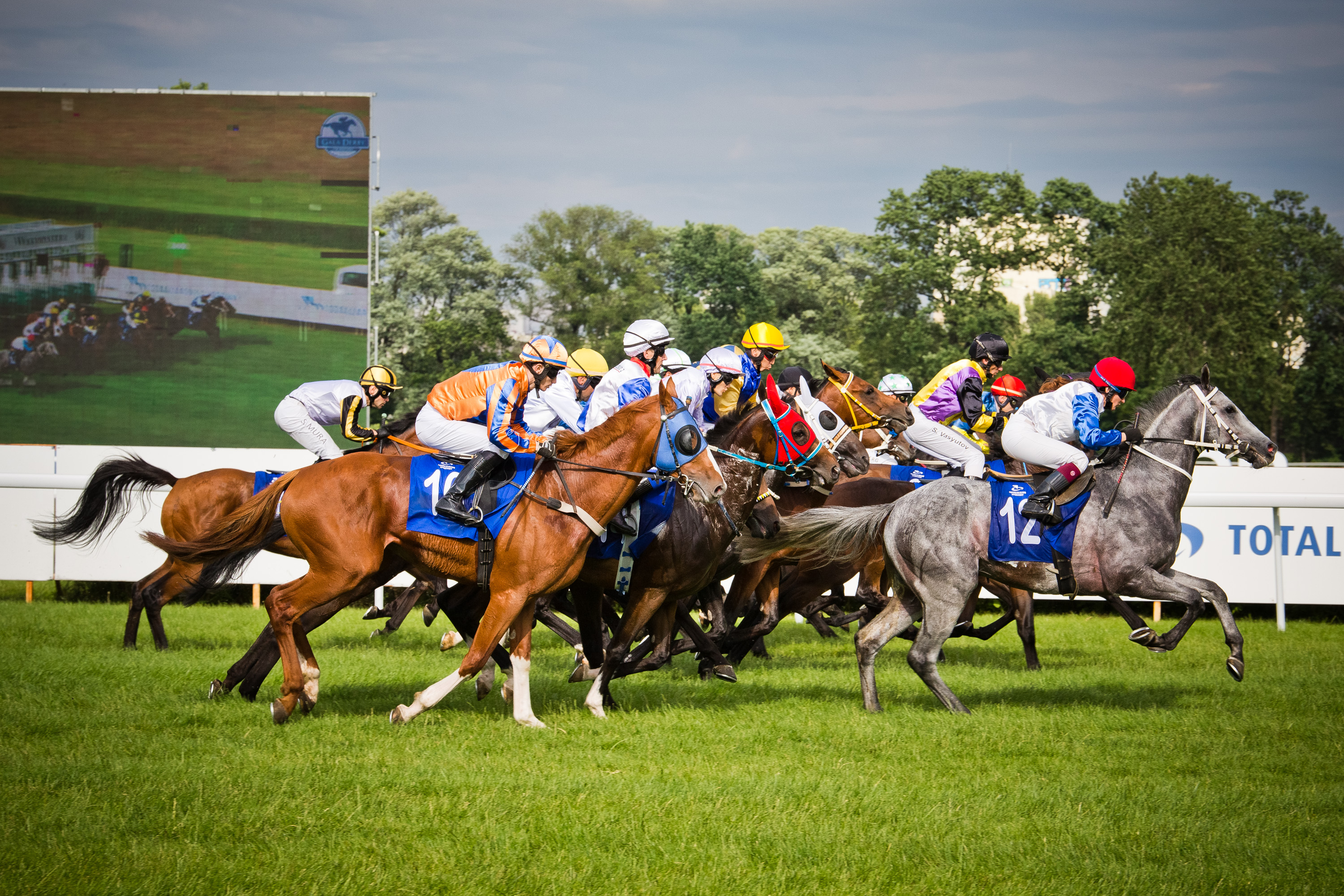 Na Służewcu świetnie spisali się weterani