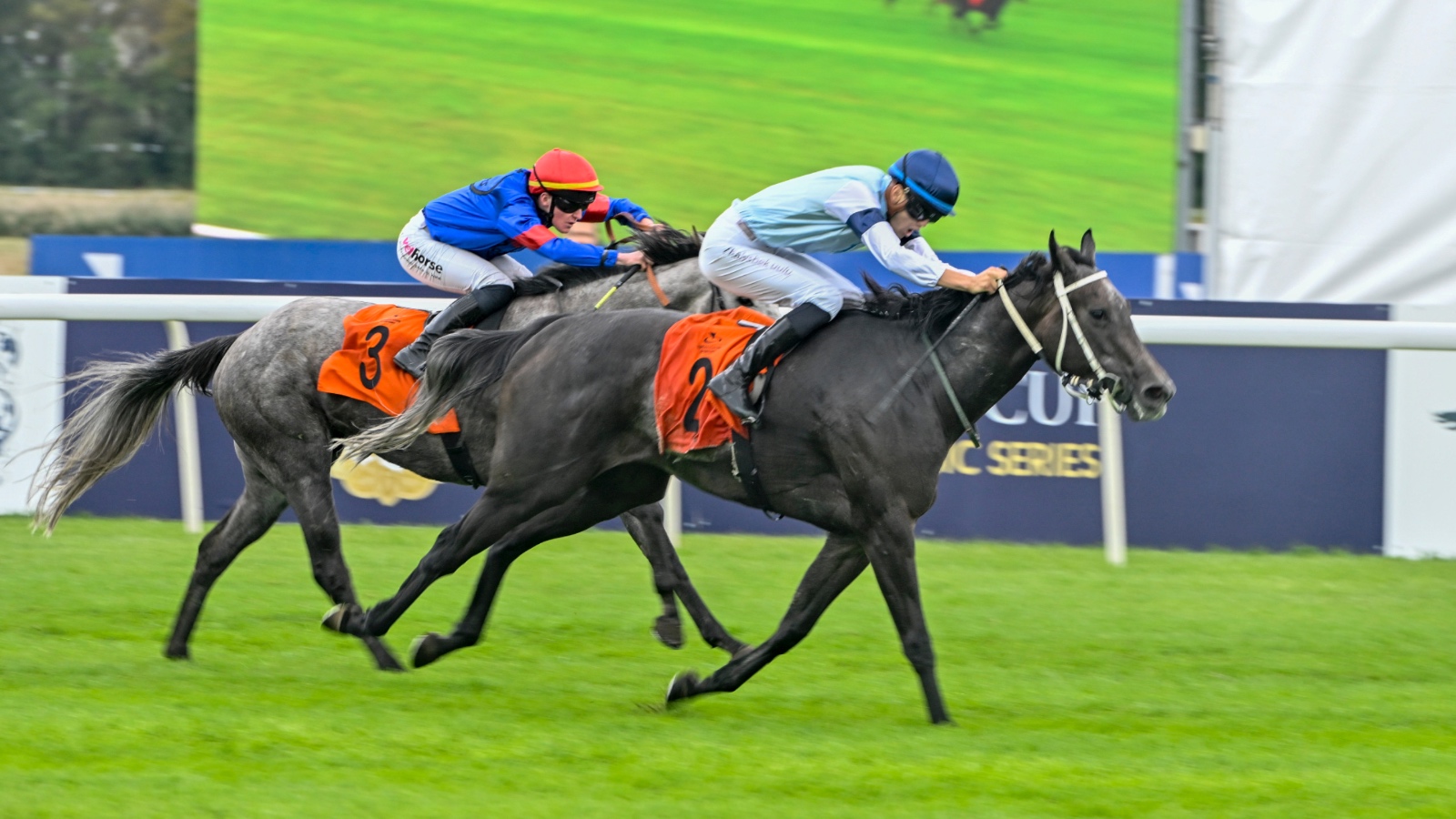Kulisy Wielkiej Warszawskiej. Wyjątkowy dzień na Służewcu [WIDEO]