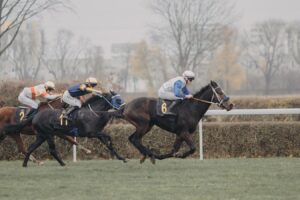 &#8222;Animowana ruletka&#8221; zakończyła sezon [GALERIA ZDJĘĆ]