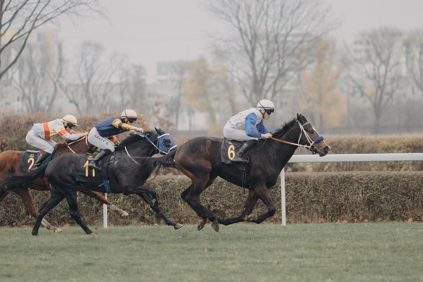 „Animowana ruletka” zakończyła sezon [GALERIA ZDJĘĆ]