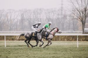 Tor Służewiec odkrywa karty na 2026 rok: 
Aż 370 gonitw! Kluczowe daty i liczby