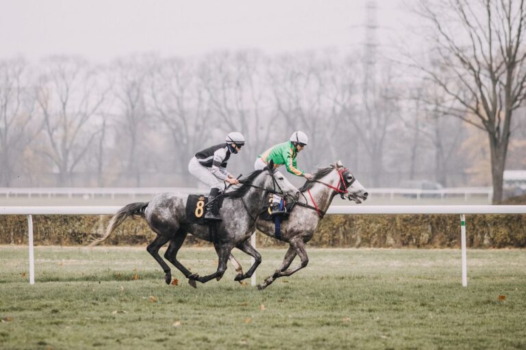 Tor Służewiec odkrywa karty na 2026 rok: 
Aż 370 gonitw! Kluczowe daty i liczby