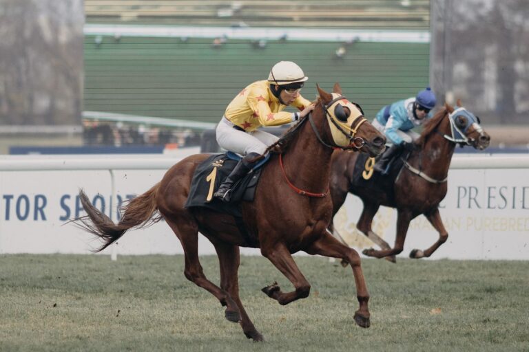 Wielka Warszawska nominowana w plebiscycie „Warszawiaki”. Totalizator zachęca do głosowania