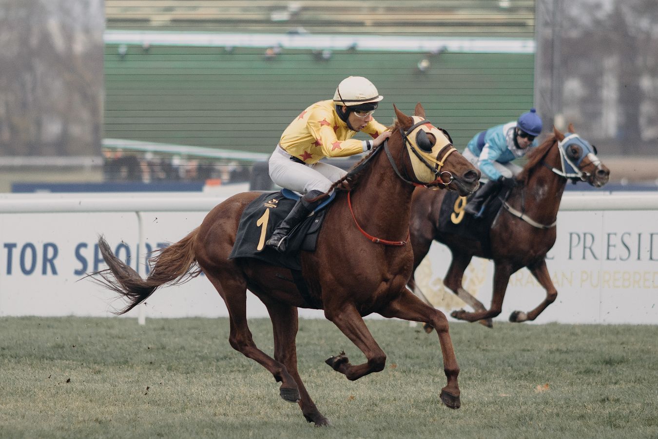 Wielka Warszawska nominowana w plebiscycie „Warszawiaki”. Totalizator zachęca do głosowania