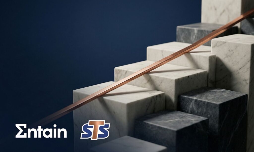 Wzrosty operacyjne i wielomilionowe odpisy. Analiza wyników finansowych grupy właściciela STS za rok 2025