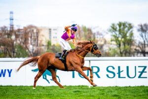 Sezon 2026 na Torze Służewiec rozpoczęty